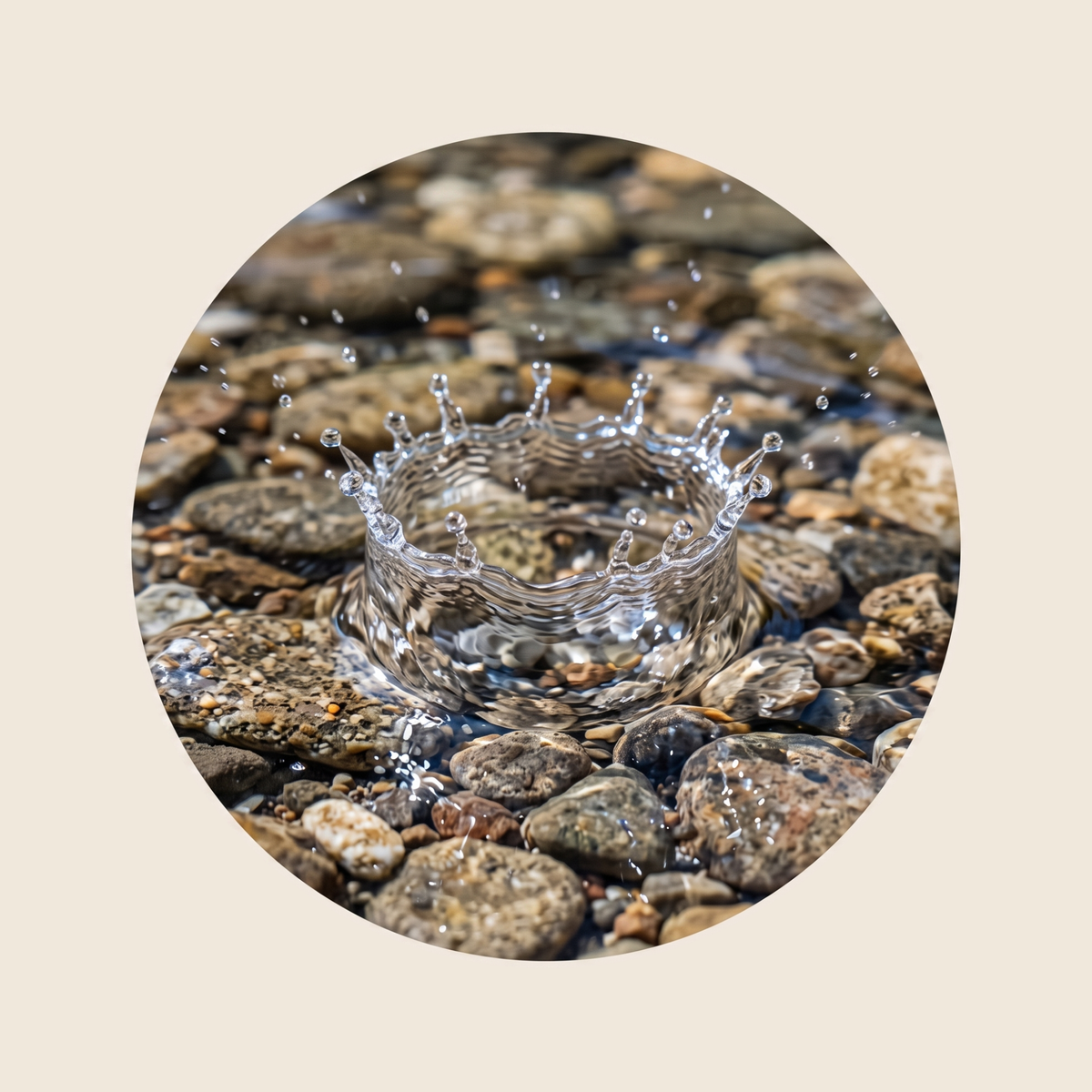 Aquatisch